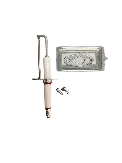 ELCTRODE IGN/ION INC GASK/SCRW